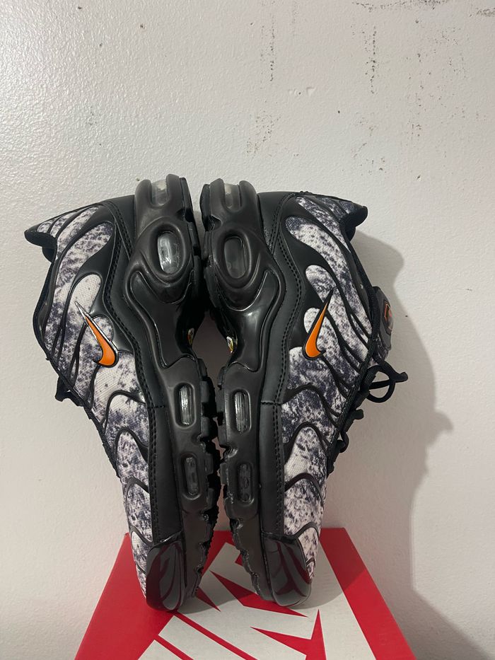 Bamba TN - photo numéro 2