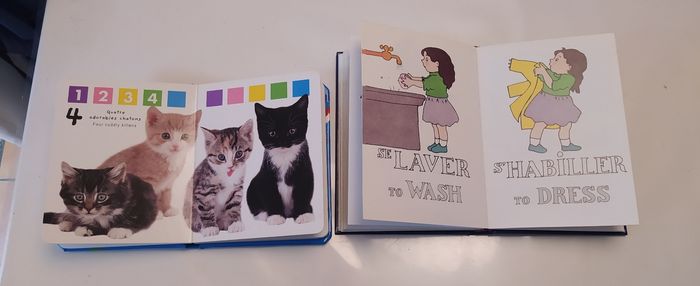 Livres bilingue - photo numéro 3
