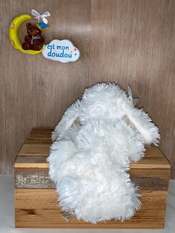 BK30 doudou chien 🐶 Bukowski - photo numéro 2