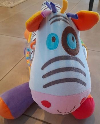 Grand zèbre d eveil bawi