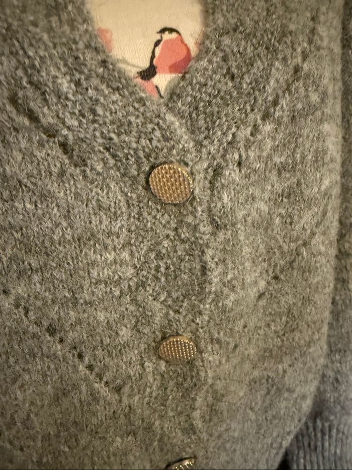 Gilet gris tout doux taille M ou 38 - photo numéro 2