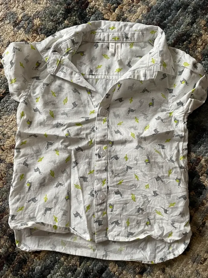 Chemise