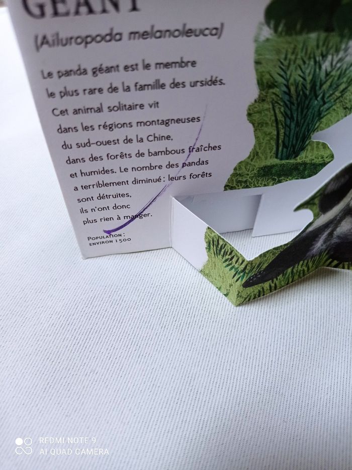 Livre panorama illustré animaux en danger - photo numéro 4