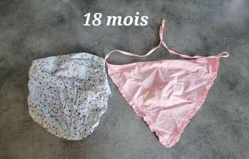 Lot fichus 18 mois