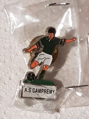 Pin's foot As Campremy