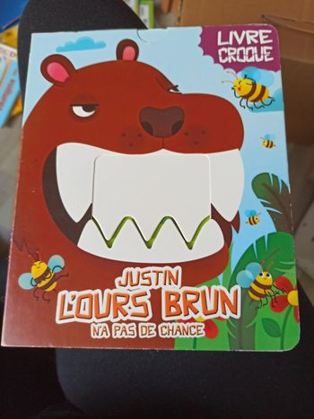 Livre Justin l'ours brun