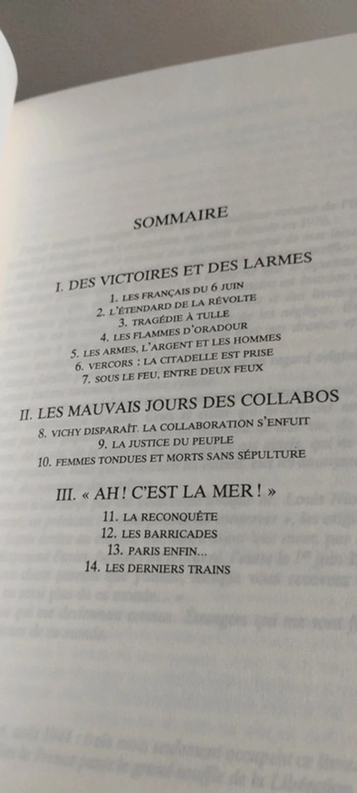 Joies et douleurs du peuple libéré - photo numéro 3