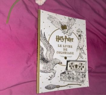Livre de coloriage Harry Potter