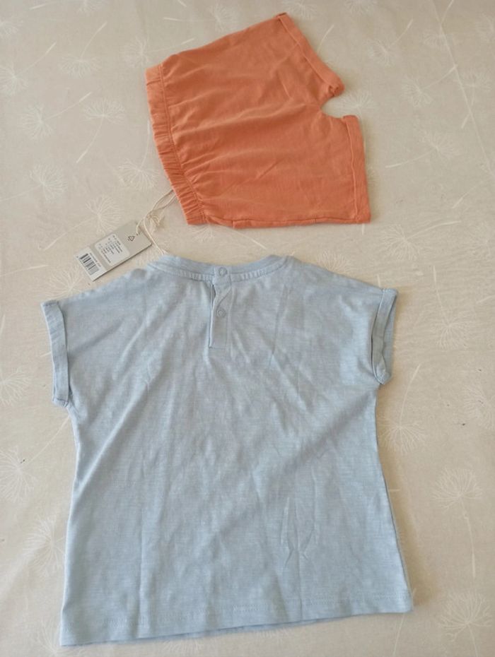 Ensemble ts manches courtes et short 86/92 cm lupilu neuf - photo numéro 3