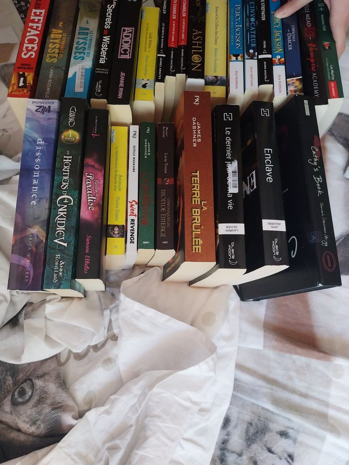 Lot 28 romans Fantastiques Dystopiques Adolescents Fantasy Romantasy Magie Young Adult New Adult - photo numéro 4