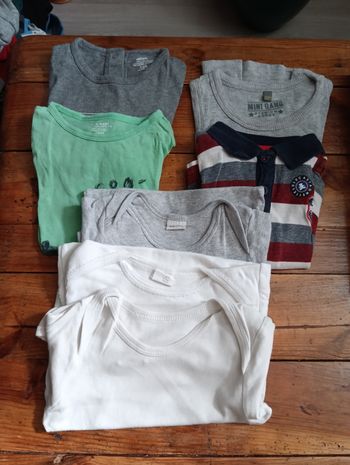 3 Tee short, 1 polo, 3 bodies