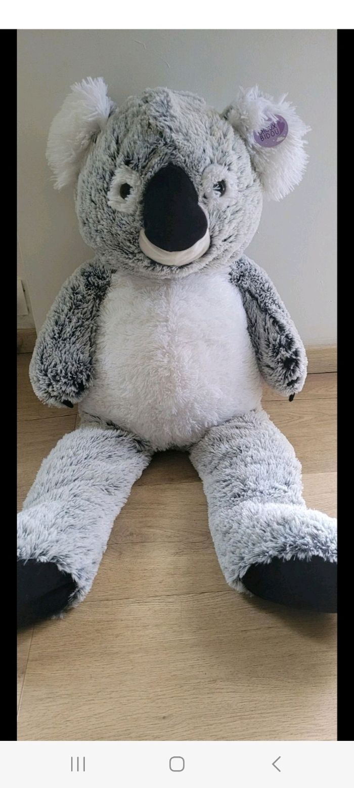 Koala 80cm