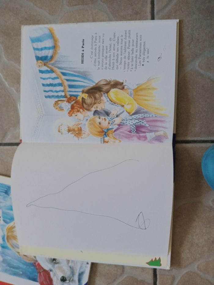 2 livres heidi - photo numéro 3