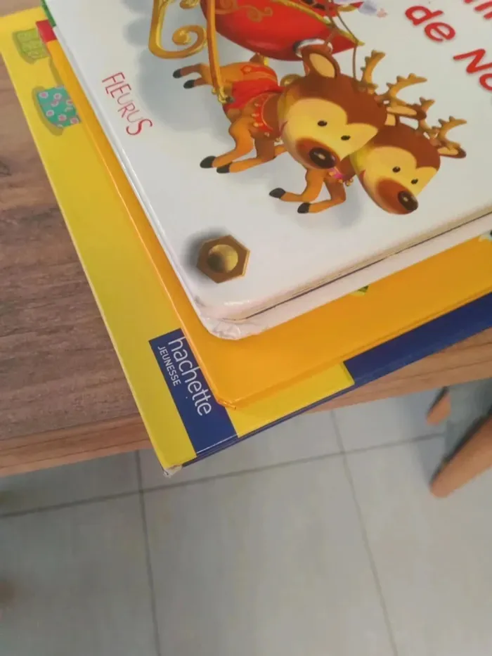 Livre de Noël - photo numéro 13