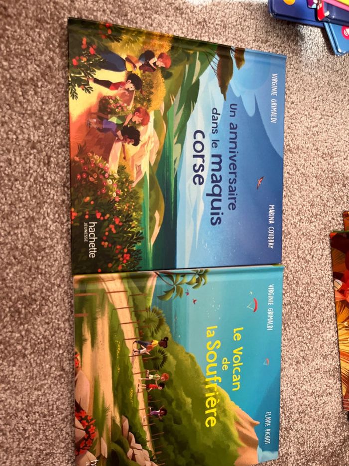 Lot livres merveilles de France - photo numéro 4