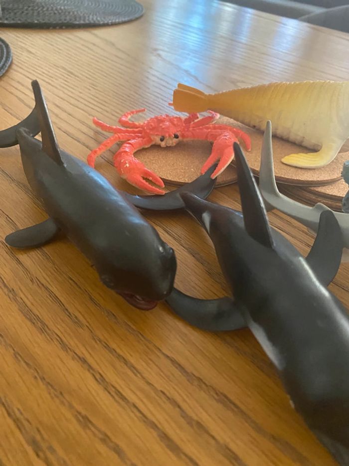 Lot animaux marins - photo numéro 2
