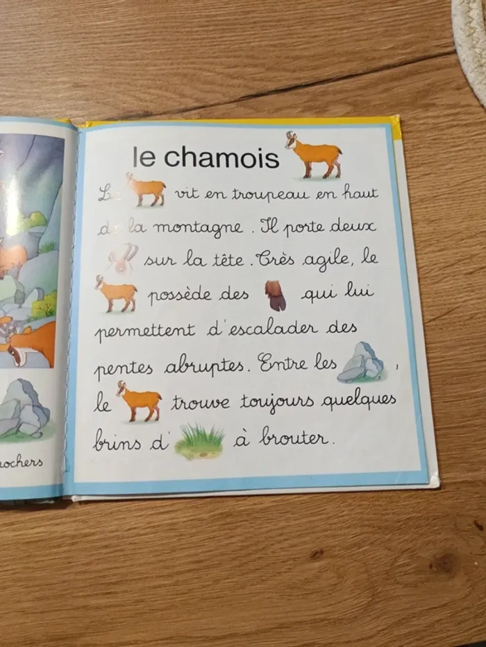 Jeux de mots à la montagne - photo numéro 3