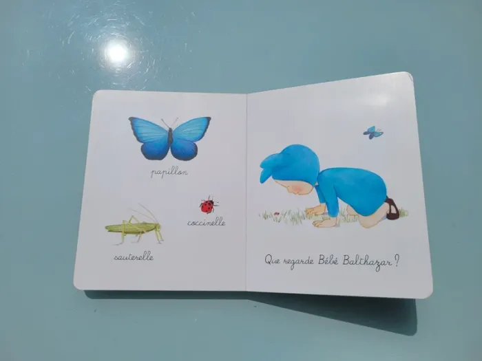 Bébé Balthazar 🍏 Mon tout Premier imagier Montessori 🧸 - photo numéro 8