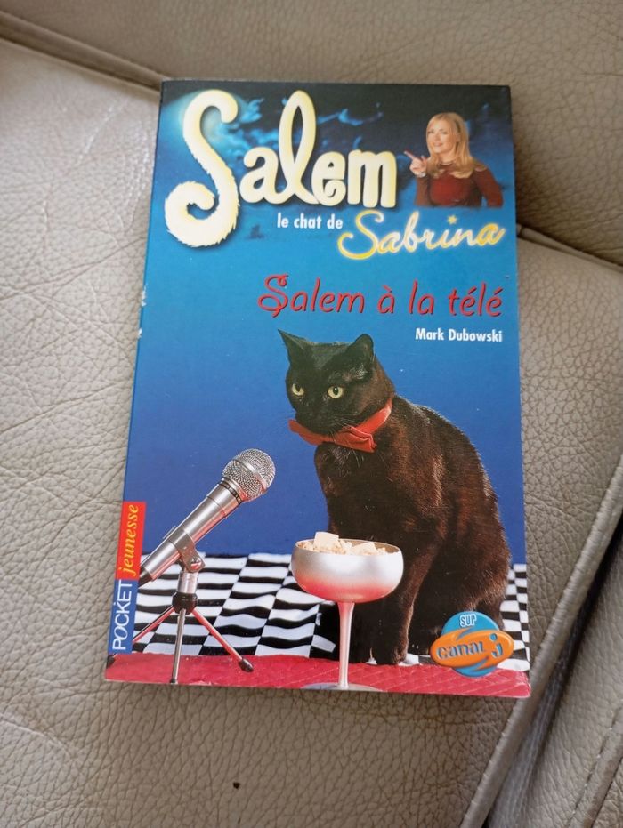 Livre Salem le chat de Sabrina Salem à la télé