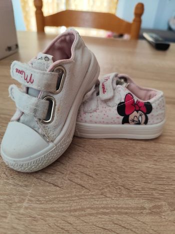 Basket Minnie