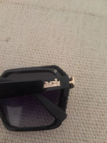 lunette hermes