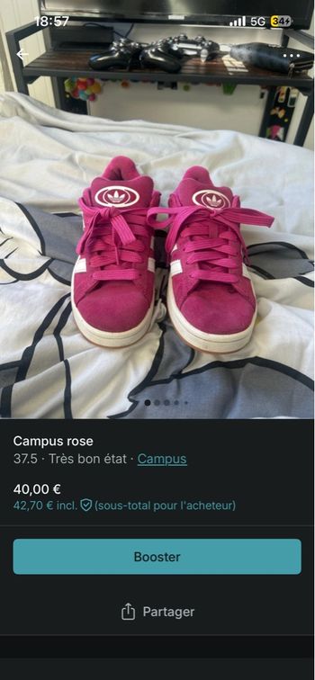 Campus rose 