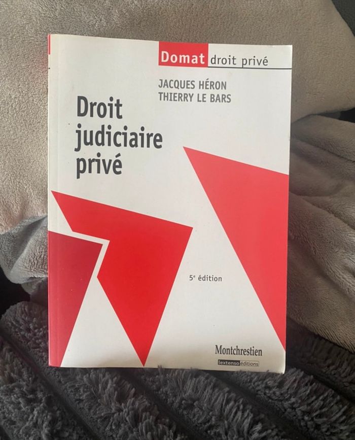 Droit judiciaire privé - photo numéro 2