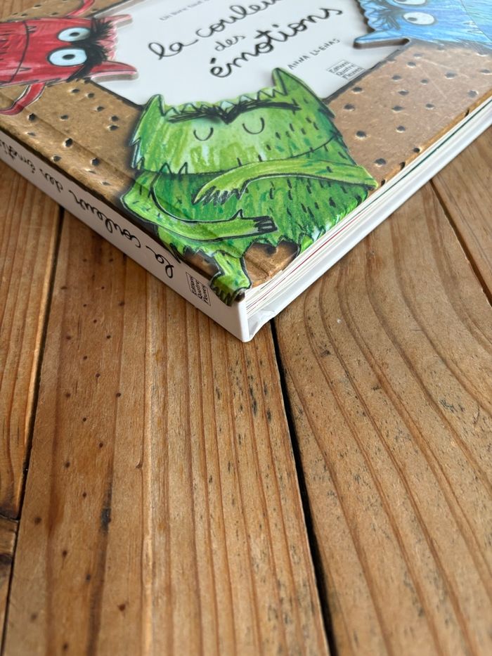 Livre la couleur des émotions - photo numéro 6