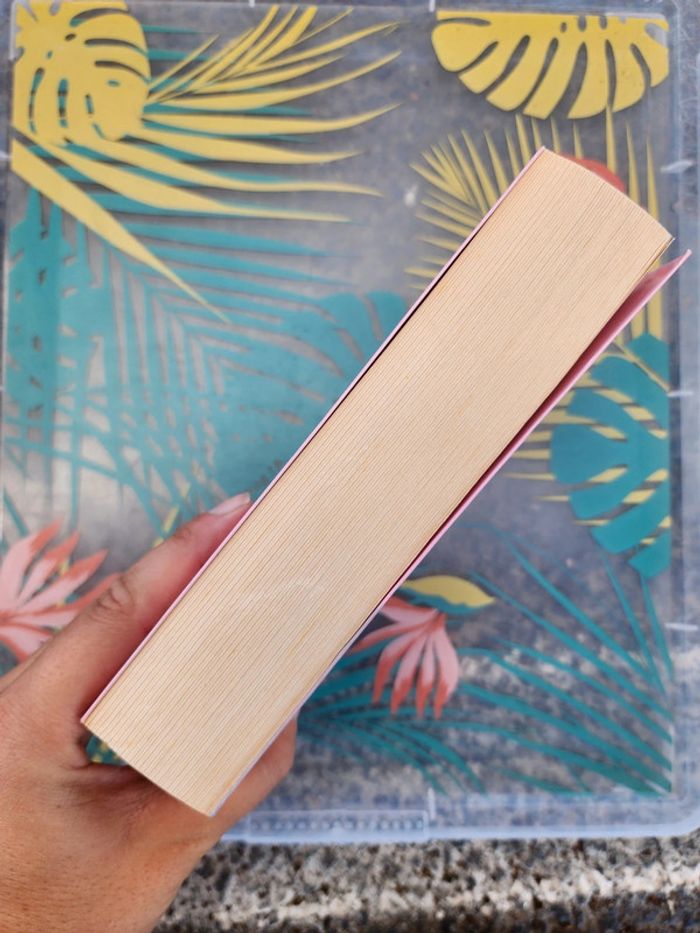 Livre broché "mariée dans l'année" de Melissa Hill - photo numéro 5