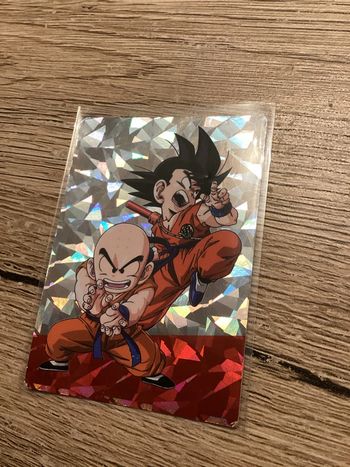 carte dragon ball panini