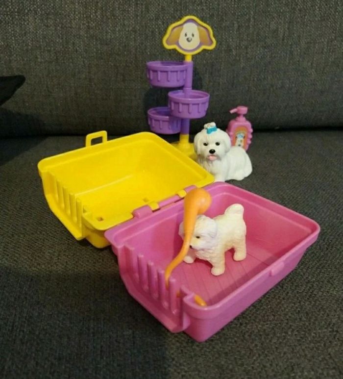 Lovely puppy - photo numéro 3