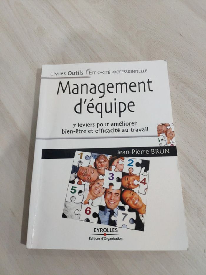 Livre management équipe 7 leviers améliorer bien être efficacité professionnelle Brun