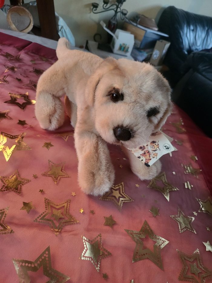 Peluche chien 🐕 - photo numéro 4