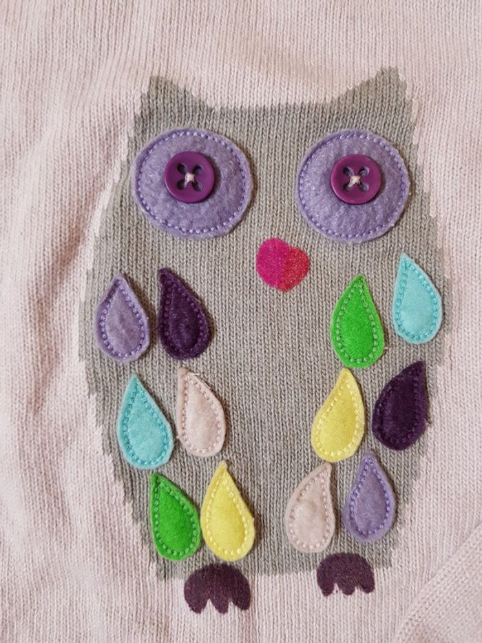 Pull DPAM 10 ans - photo numéro 3