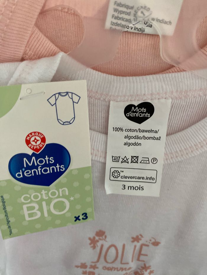 Lot bodies - photo numéro 2