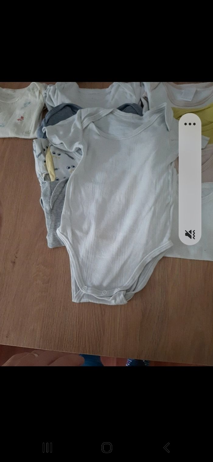 Lot de 12 bodys manches courtes taille 12 mois - photo numéro 6