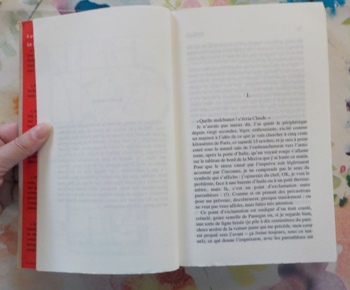 LA SERPE de Philippe JAENADA Ed. Julliard - photo numéro 6