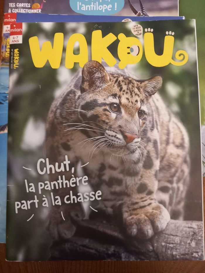 Lot 6 magazines Wakou - photo numéro 5