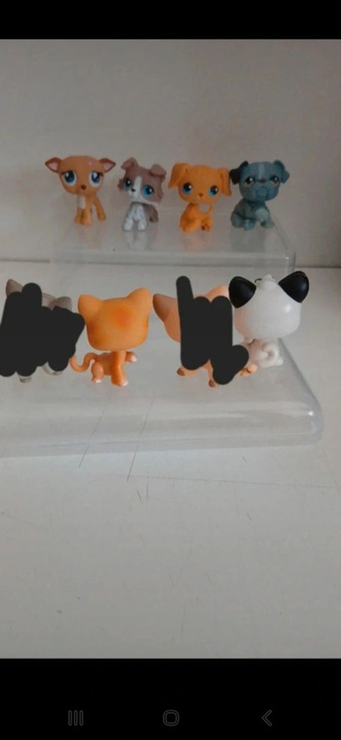 Littest petshop - photo numéro 8