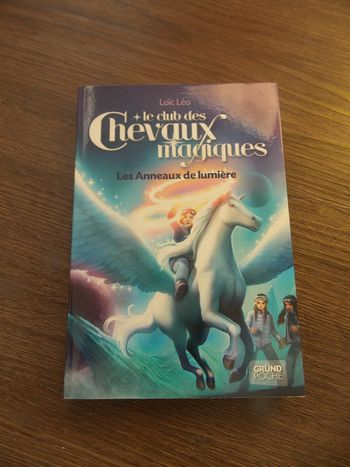 Livre Le club des chevaux magiques 117 Les anneaux de lumiére