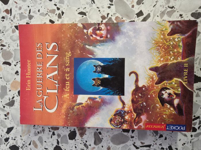 La guerre des Clans à feu et à sang 2 - photo numéro 1