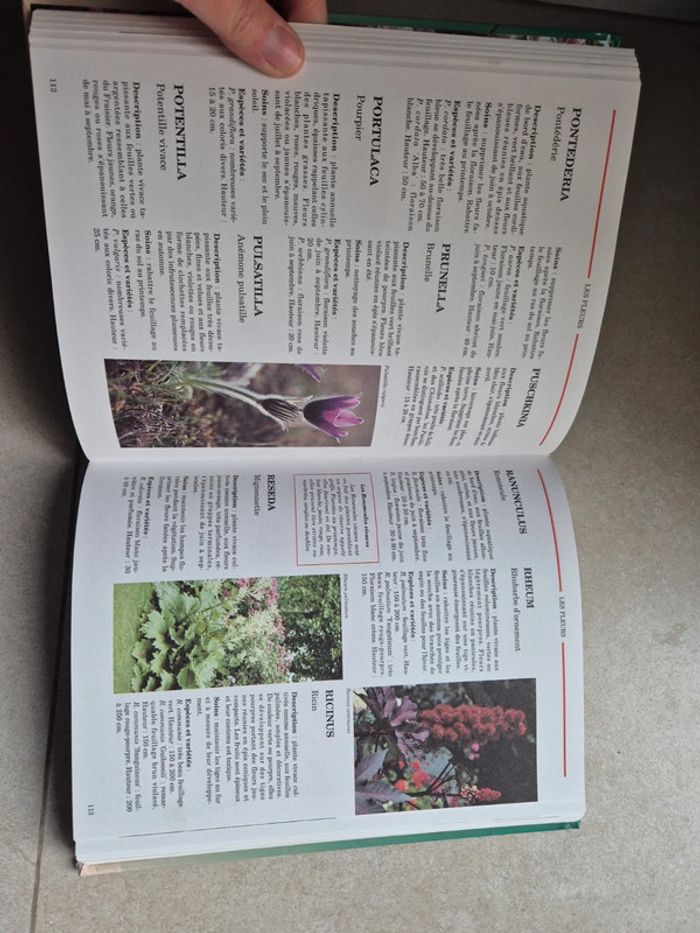 Le manuel du jardinage - photo numéro 2