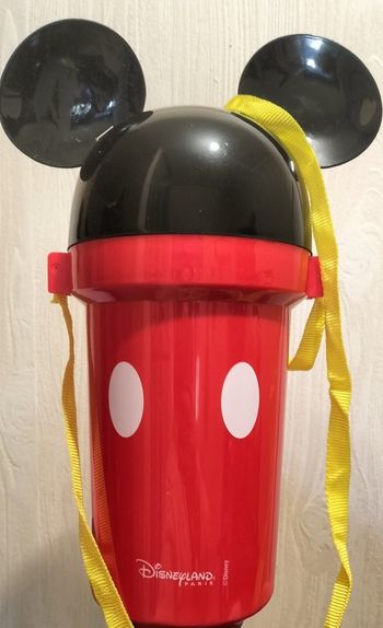 Grande boite a goûter mickey