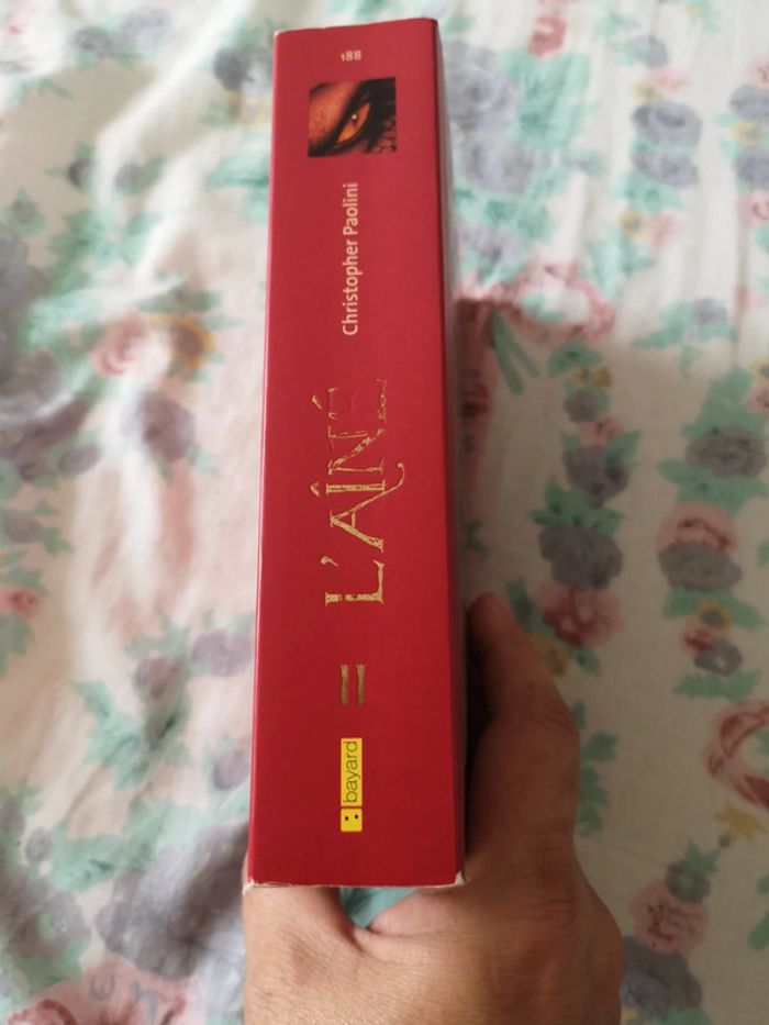 L aîné - photo numéro 3