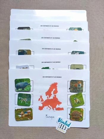 Les 7 continents et les animaux à scratcher Montessori