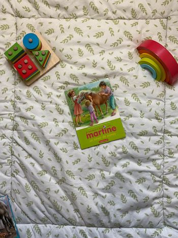 livre je commence à lire avec Martine un résor de poney tome 2 casterman