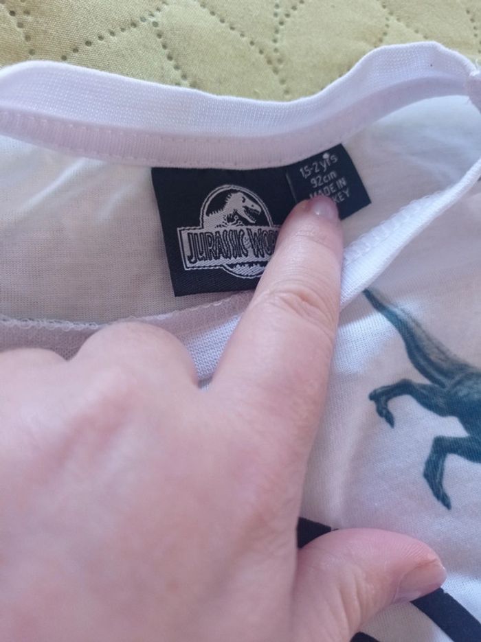 Tee shirt jurassik Park 18 2 ans - photo numéro 2