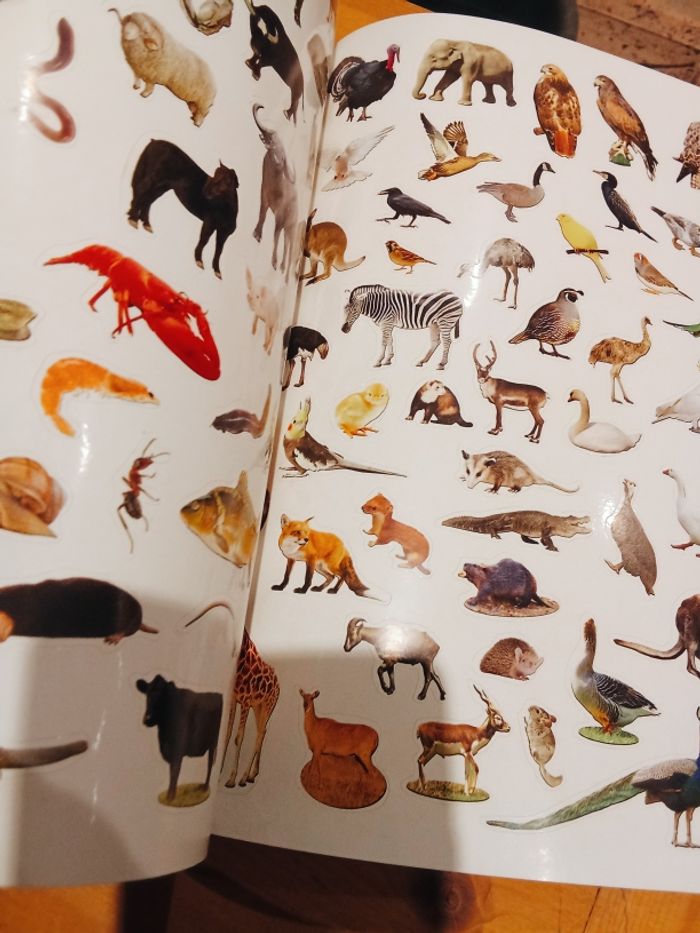 livre stickers et jeux spécial animaux - photo numéro 3