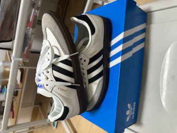 adidas originals SAMBA 37