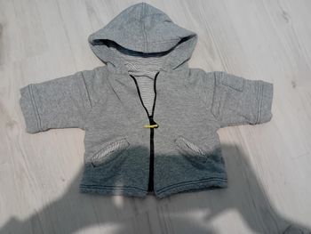 Veste grise